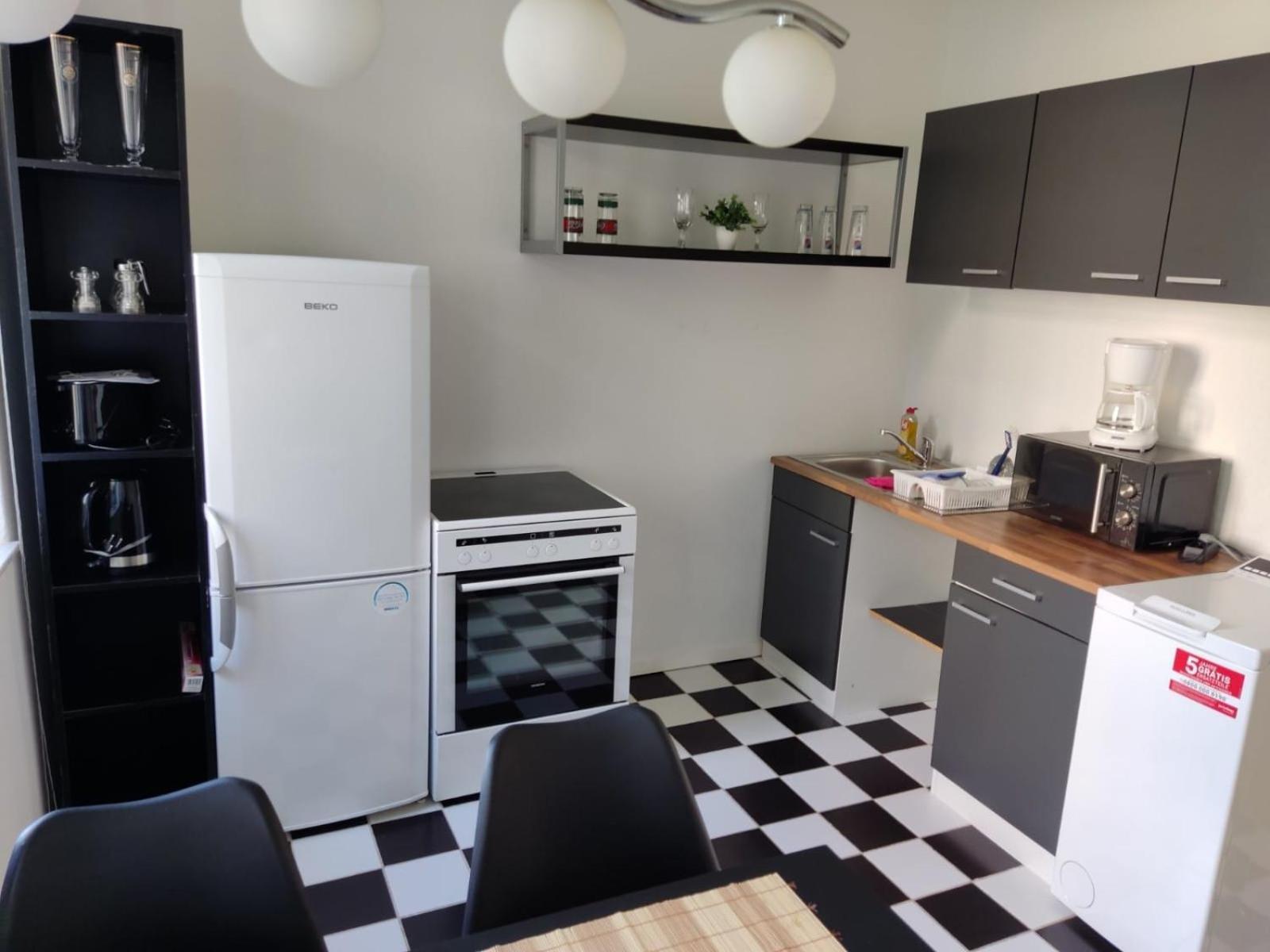 Flex Aparts - Grosse, Moeblierte Wohnung In Zwickau Mit 2 Zimmern Exterior foto